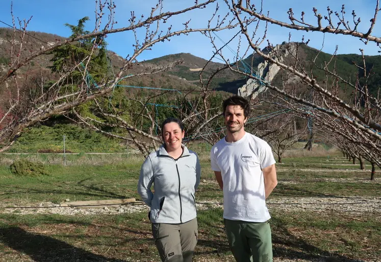 <em class="placeholder">Lucie et Clément Tourre, arboriculteurs à Bellecombe-Tarendol dans les Baronnies provençales, en Drôme, ici dans un verger d'abricotiers. </em>