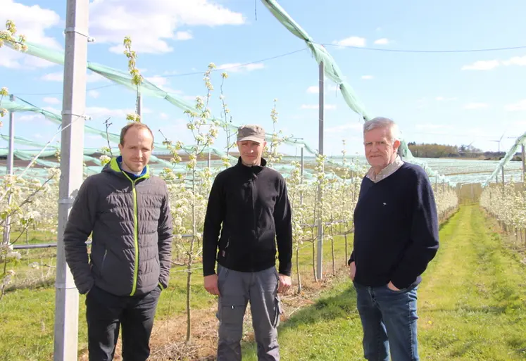 <em class="placeholder">Les Carlu, producteurs de pommes en Indre-et-Loire.</em>