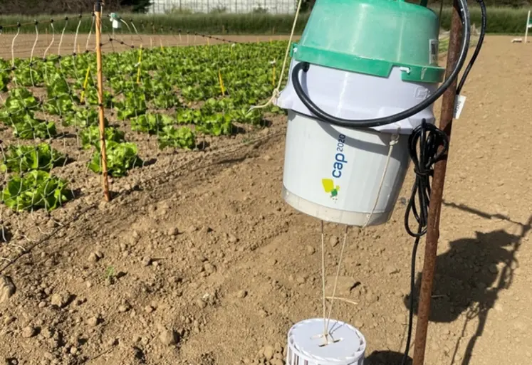 <em class="placeholder">Le piège connecté Cap2020 de CapTrap.</em>