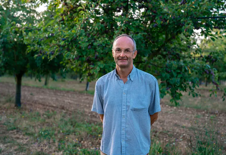<em class="placeholder">Christophe De Hautefeuille, pruniculteur, et président du BIP, posant pour une photo dans son verger de pruniers dans le Lot-et-Garonne. </em>