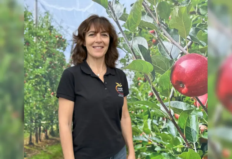 <em class="placeholder">Sandrine Gaborieau, responsable marketing et communication de l’Association nationale pommes poires, pose dans un verger de pommiers. Les pommes sont rouges. </em>