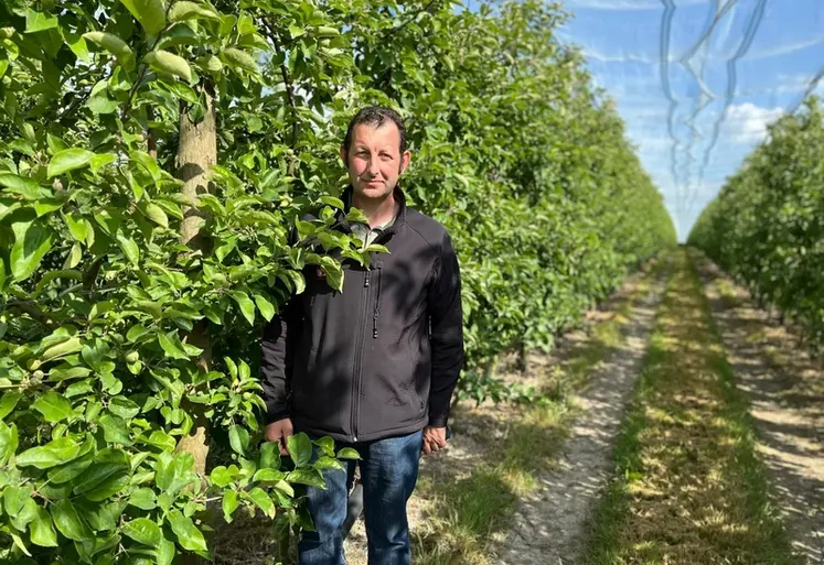 <em class="placeholder">Thierry Moisy, président de l’Association nationale pommes poires et arboriculteur, pose dans son verger.</em>