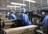 Le recrutement de la main-d’œuvre saisonnière étant difficile, un critère dans les investissements est toujours l’amélioration des conditions de travail.