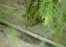 L’irrigation par goutte à goutte impose un entretien et un contrôle régulier du réseau
