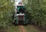 <em class="placeholder">Récolte mécanique des pommes à cidre. Verger de pomme. Arboriculture fruitière. Machine en Cuma. Matériel agricole. </em>