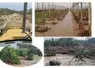 Captures d’écran de différentes photos montrant les dégâts suite à la tempête Dana dans le sud de l’Espagne.