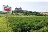 Champs de tomates pour l'industrie, en Italie, avec un panneau indiquant la propriété de Mutti.