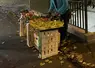 Etal fait de cagettes d'un vendeur à la sauvette de fruits et légumes à la sortie d'une bouche de métro à Paris.