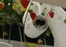 Robot cueilleur de fraises de Dogtooth Technologies dans la mega serre de fraises de Dyson Farming..