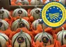 Caisse de melons de Cavaillon avec un logo IGP apposé sur l'image