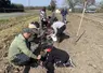 des enfants plantent des arbres