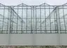<em class="placeholder">Rénovation des serres : les avantages apportés par le rehaussement</em>