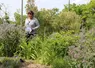 <em class="placeholder">« Les restaurateurs intègrent de plus en plus de fleurs dans leurs assiettes », assure Pauline Dominicy.</em>