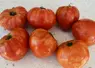 <em class="placeholder">Les dégâts en production sont restreints aux fruits et se caractérisent par de fortes décolorations et des déformations les rendant non commercialisables.</em>