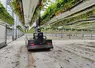 <em class="placeholder">Les serres doivent être adaptées aux spécificités du robot – sol plat, gouttières – pour faciliter et sécuriser ses déplacements et accepter un temps ...</em>