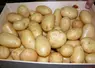 colis de pommes de terre de primeur
