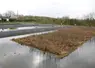 <em class="placeholder">La couverture végétalisée ne couvre que 50 % de la surface du bassin, soit à peu près la surface en fond de bassin, pour que les plantes aient toujours leurs racines ...</em>