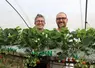 Dorothée et Antton DIRATCHETTE, associés du Gaec Lekuberri, dans leurs serres de production de fraises.