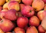 <em class="placeholder">Des pommes rouges en vrac. </em>