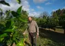 <em class="placeholder">Cédric Sanchez, arboriculteur à l'Ile-Sur-Têt dans les Pyrénées-Orientales.</em>