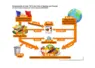 Infographie. La production française de fruits et légumes (hors pommes de terre) s’élève à 8,5 millions de tonnes (Mt) en moyenne sur la période 2021-2023, dont 6 Mt de légumes et 2,5 Mt de fruits.