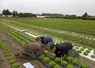 <em class="placeholder">essai biocontrôle puceron salade Nord Pôle Légumes région Nord PLRN</em>