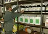 Un agriculteur de profil fouille dans son local de produits phytosanitaires.