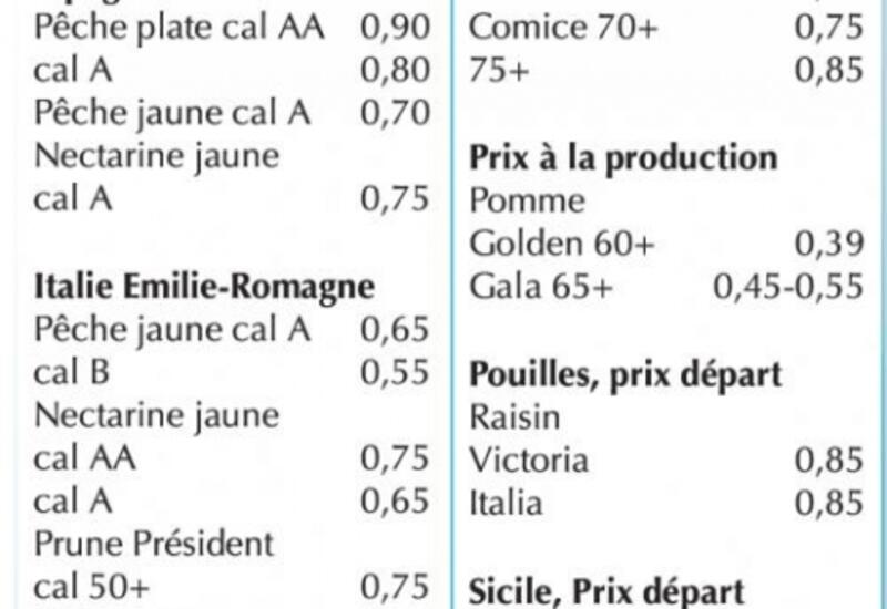 Vignette
