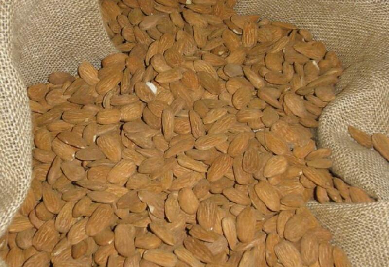 L'amandes : récolte, conservation et utilisation des amandes