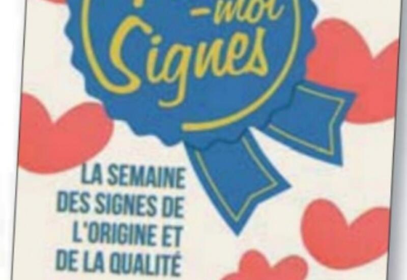 Vignette