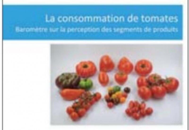 La tomate ronde bretonne  Fruits Prince de Bretagne