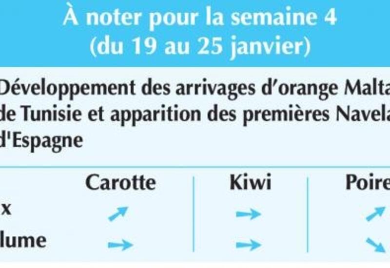 Vignette