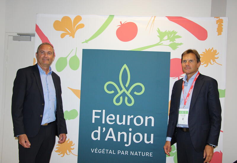 fleuron d'anjou