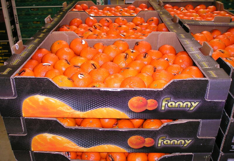 La marque Fanny s'est imposée sur le marché français des agrumes.