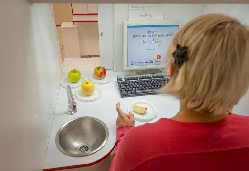 Dresser le profil sensoriel des pommes : une roue des arômes pour objectiver le goût