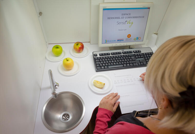 Dresser le profil sensoriel des pommes : une roue des arômes pour objectiver le goût