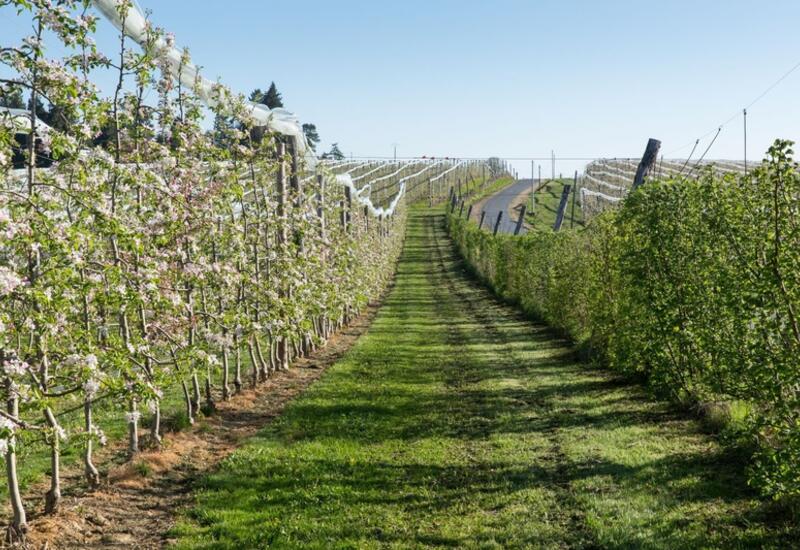 Le nouvel arrêté qui impose une zone de non-traitement quand des habitations sont proches est unanimement dénoncé par les agriculteurs.