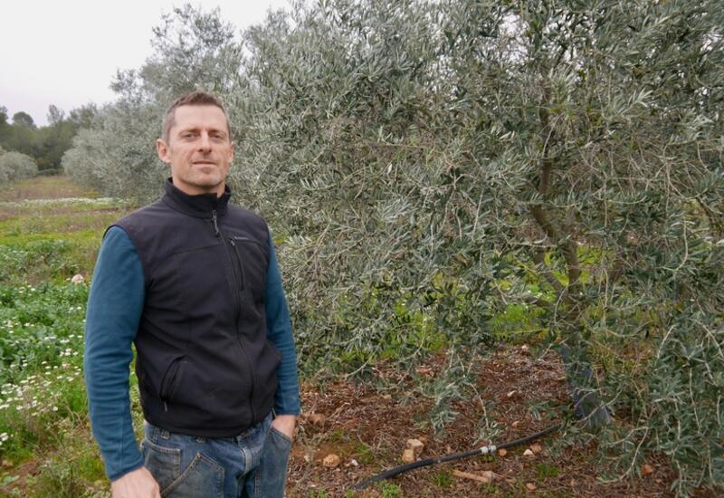 Philippe Carra perpétue la passion familiale de la culture d'oliviers et d'agrumes, pour certains rares. © J.Dukmedjian