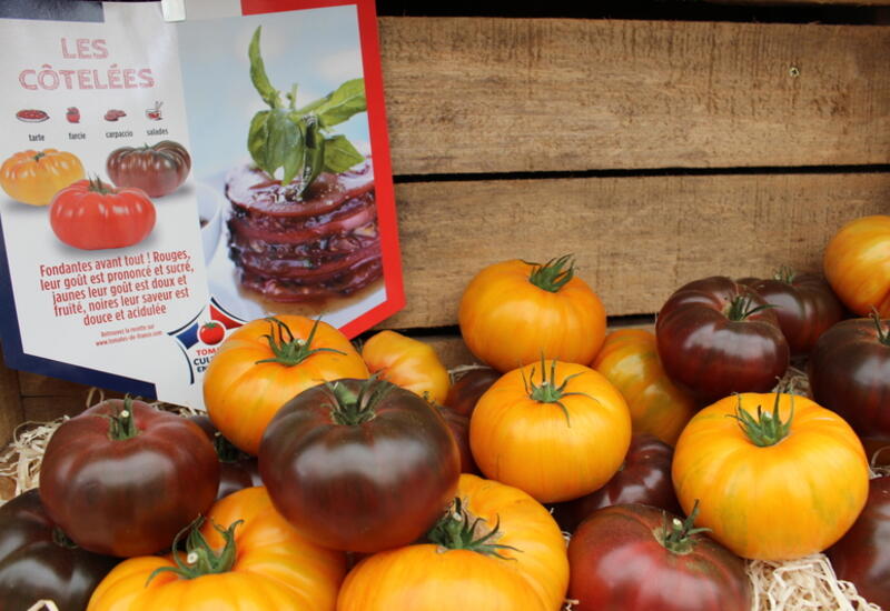 Produit toujours fondant et plein, les tomates noires font partie du segment côtelé qui connaît une forte progression ces cinq dernières années. © RFL