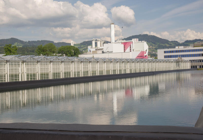 Certains producteurs suisses récupèrent la chaleur d'usines d'incinération de déchets pour chauffer leurs serres. © D. Eppenberger