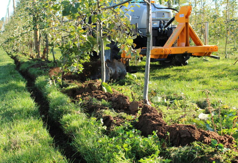 Le désherbage par travail mécanique du sol et la tonte des lignes de plantation sont les deux méthodes alternatives déjà mises en œuvre par les arboriculteurs.  © RFL