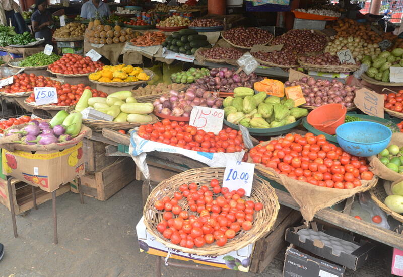 La production de fruits et légumes reste variée, dominée par les pommes de terre et les tomates. © T. Joly