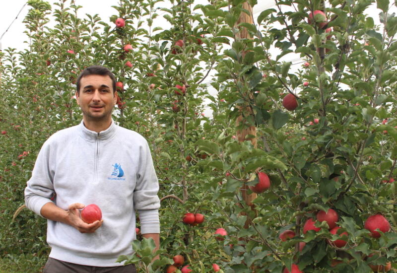Jean-Daniel Rigaud produit 1000 tonnes de pommes labellisées Vergers écoresponsables. © RFL