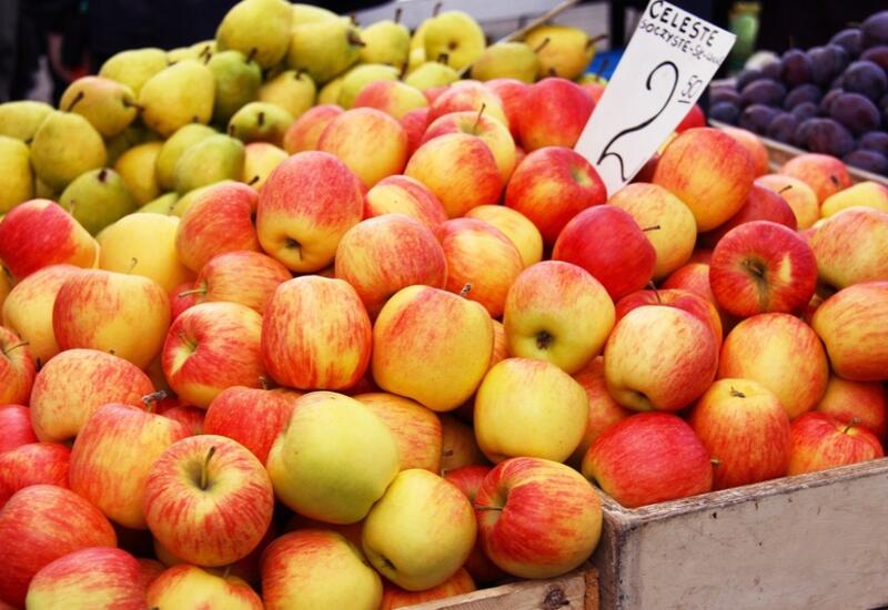 Les exportations polonaises de pommes ont augmenté de près de 15 % entre 2015 et 2019. © DR