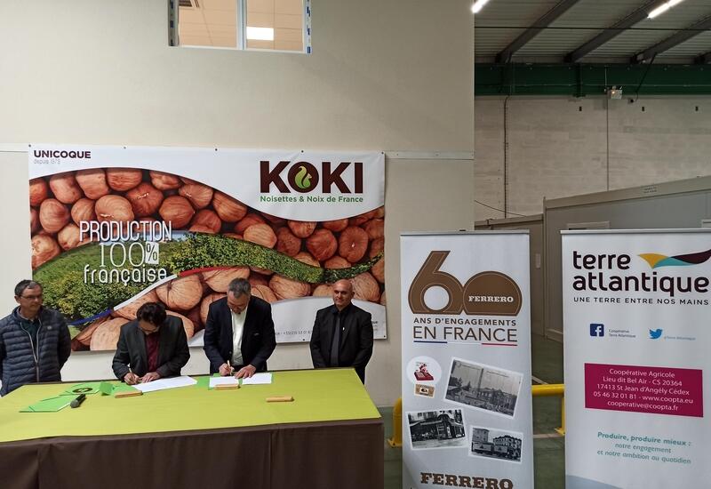 Koki a signé plusieurs partenariat pour développer le verger de noisetiers en France et s'assurer des débouchés. © Koki