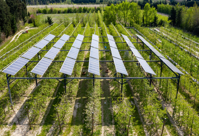 Le projet Sun’agri regroupe INRAE pour la modalisation plante, ITK pour la modélisation climatique, Irstea pour le pilotage de l’irrigation et Sun’R pour le pilotage des panneaux solaires. © Sun'R