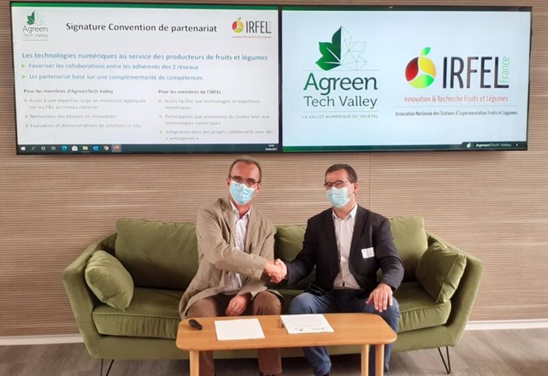 L’Irfel et AgreenTech Valley ont signé une convention afin de développer des technologies numériques au service des producteurs de fruits et légumes. © IRFEL