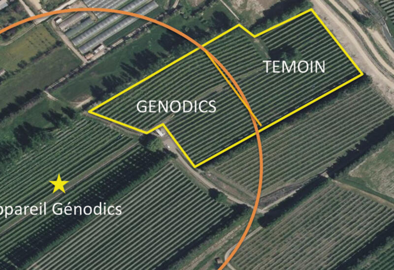 Plan parcellaire de l'essai du CETA Cavaillon. L’appareil Genodics était positionné dans une autre parcelle que celle de l'essai, afin d’avoir une partie de la parcelle sous l’influence des séquences sonores, et l’autre non. © CETA Cavaillon