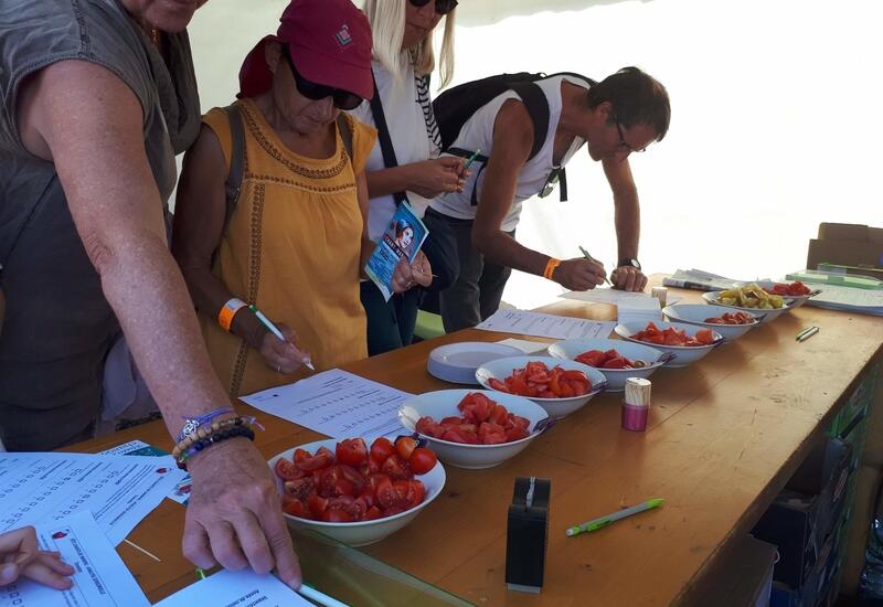 L’appréciation de la qualité gustative des tomates par les consommateurs a été recueillie à l’occasion du Festival des Chants de Marins de Paimpol.