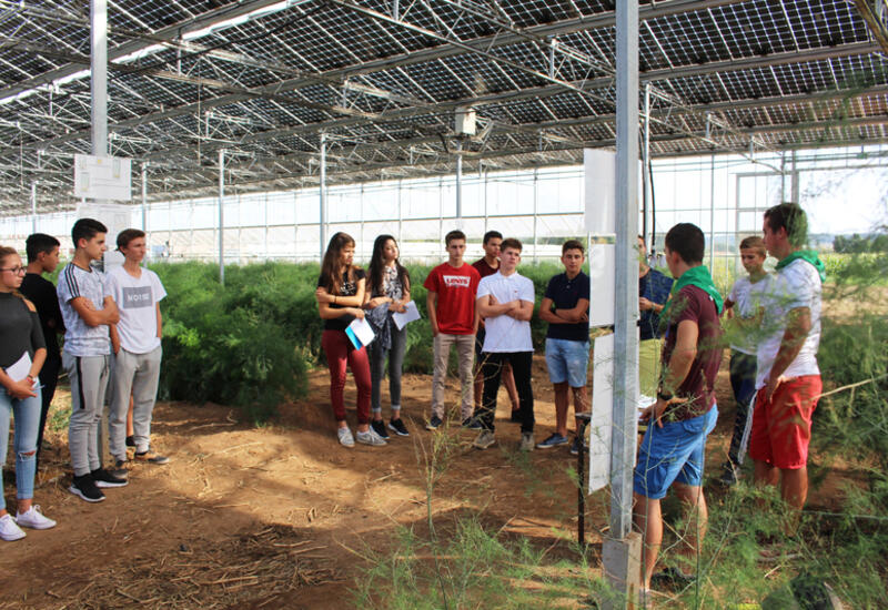 Si les enfants d'agriculteurs choisissent souvent la même voie professionnelle que leurs parents, les formations agricoles attirent de plus en plus de jeunes issus d'autres milieux.